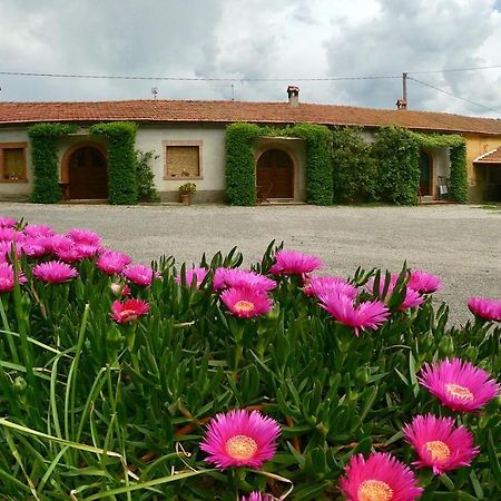 Agriturismo Monte Alzato Capalbio Kültér fotó