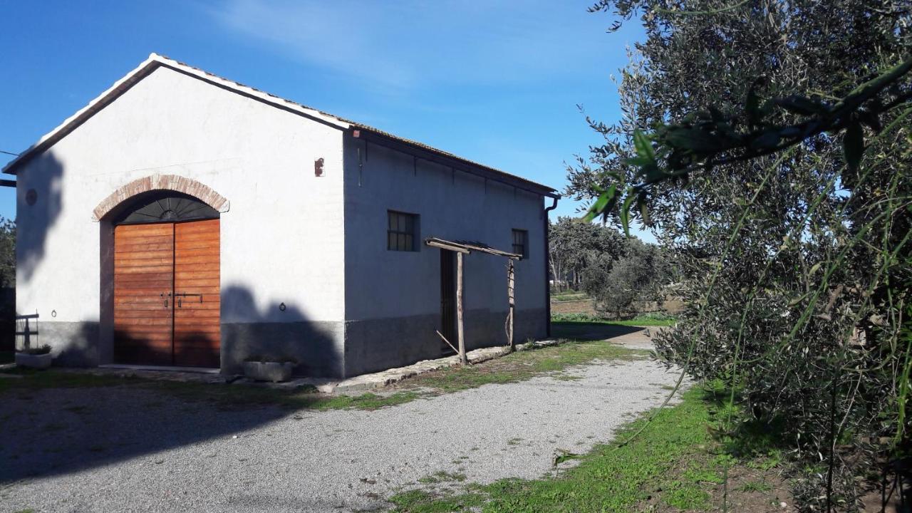 Agriturismo Monte Alzato Capalbio Kültér fotó