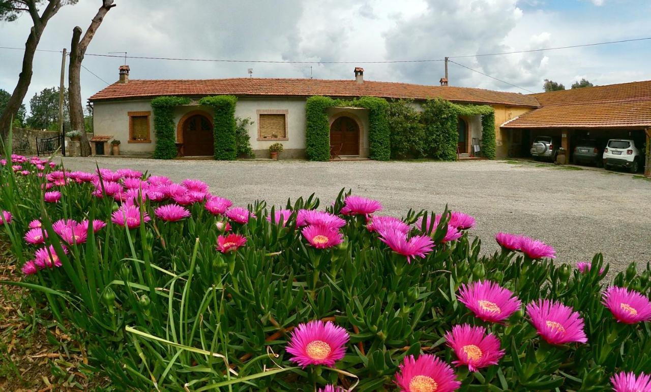 Agriturismo Monte Alzato Capalbio Kültér fotó