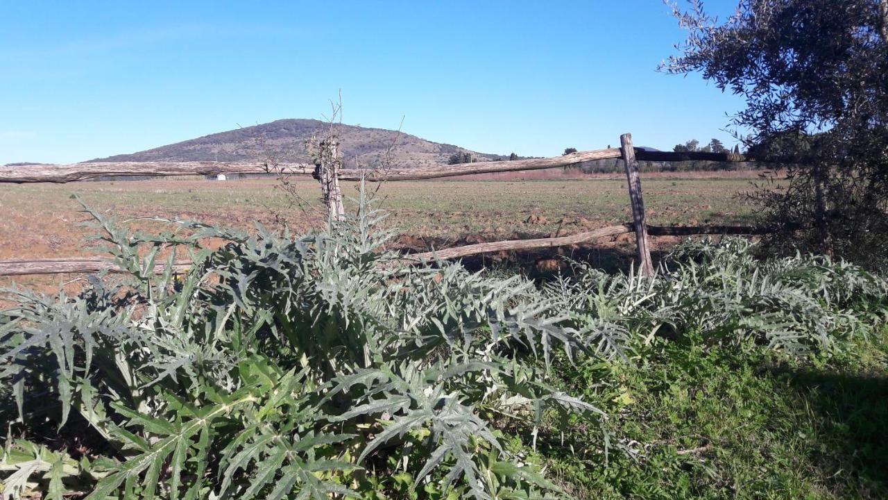 Agriturismo Monte Alzato Capalbio Kültér fotó