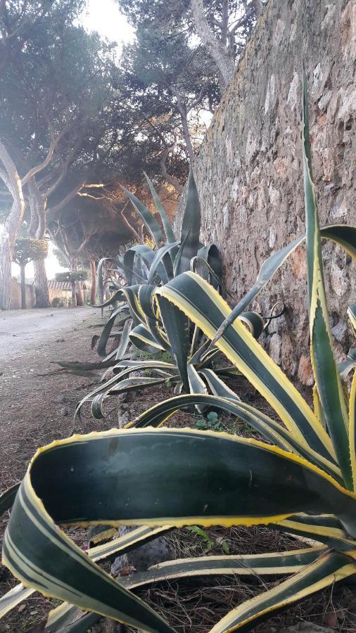 Agriturismo Monte Alzato Capalbio Kültér fotó