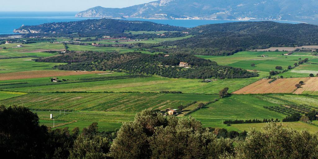 Agriturismo Monte Alzato Capalbio Kültér fotó