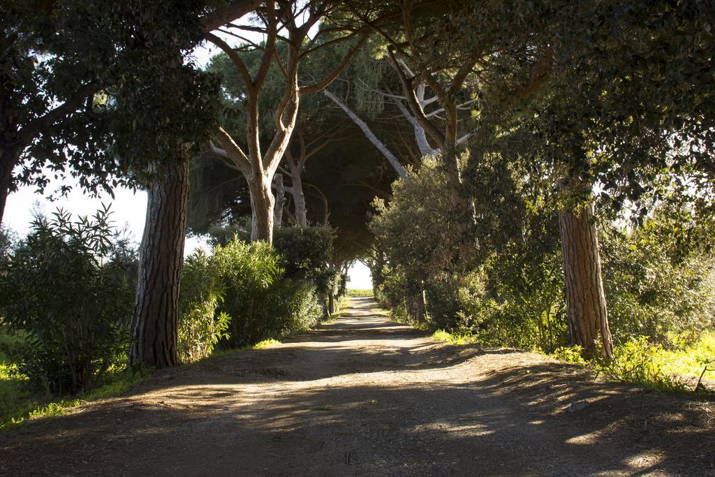 Agriturismo Monte Alzato Capalbio Kültér fotó